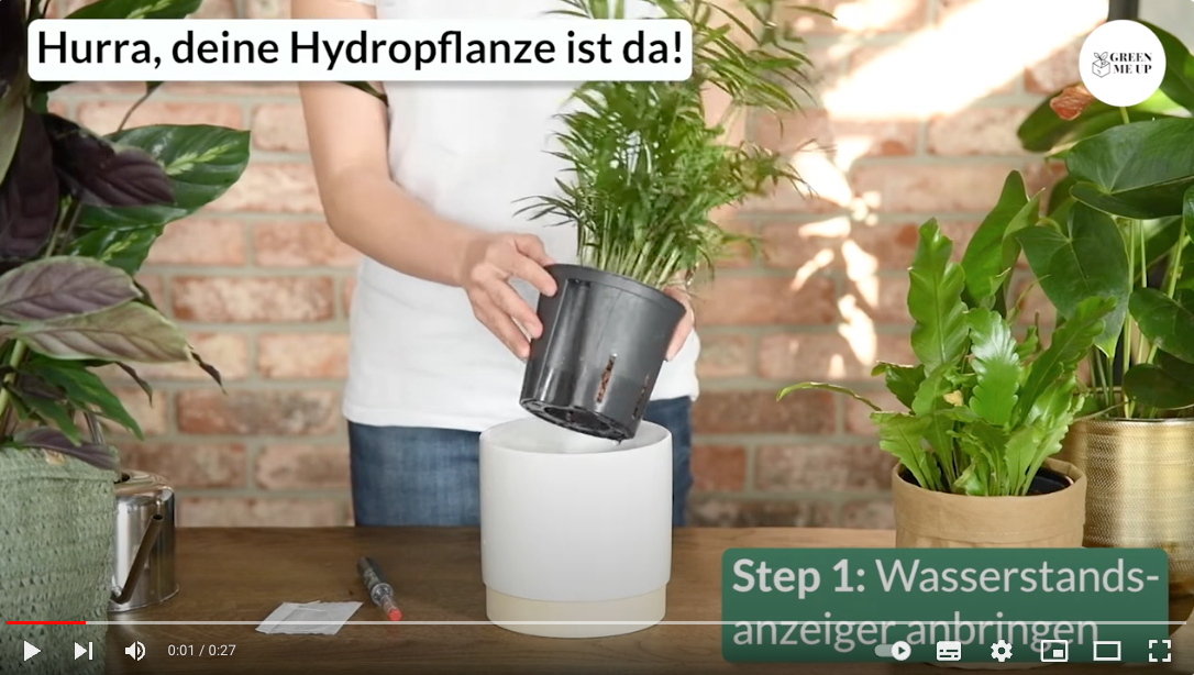 Video Anleitung Hydropflanzen begrüßen